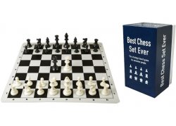 Best Chess Set Ever.